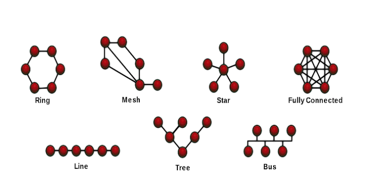 Bitendian: Topología de red